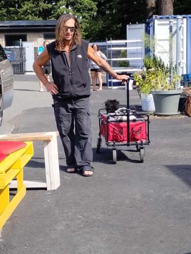 2176b8d2-10e0-446f-964b-d2977aa3b968