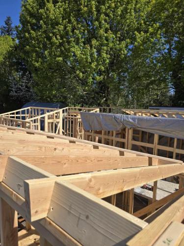 393c9697-6c4d-4002-8347-e84b347beffc