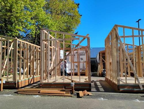 490976517_1194148372246073_5557326553741566591_n