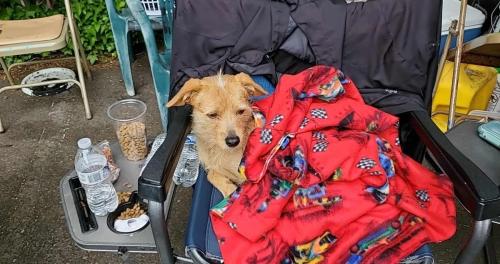 494356758_1584069102260577_6329908485971639540_n