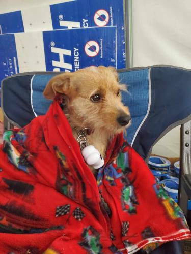 494359604_1046751433487636_4851028034280221257_n