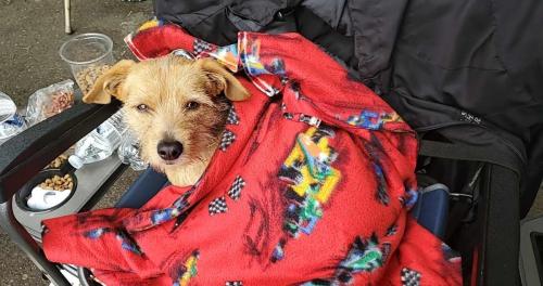 494361610_2528341900669469_3580248827838413878_n