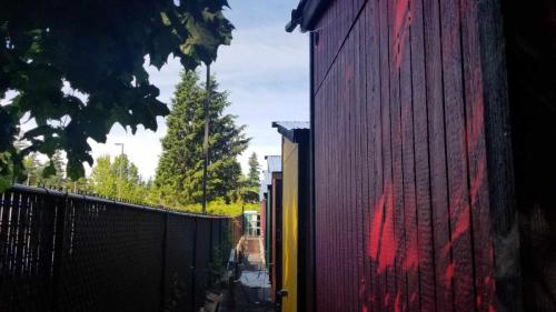 494569415_1074037117956157_4156129029009112149_n