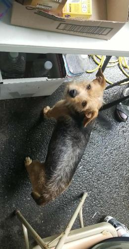 496509495_2023339698193345_4541366501086526836_n