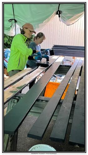 499871187_3971463409779653_5621483932448768970_n