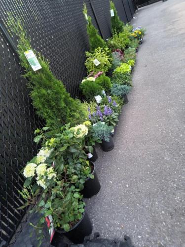 74268a69-97f8-4c3c-837c-7a60fdbb2a29