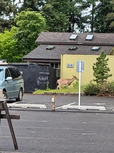 9169b0ef-e0f7-4f11-86df-d39d76791e3f