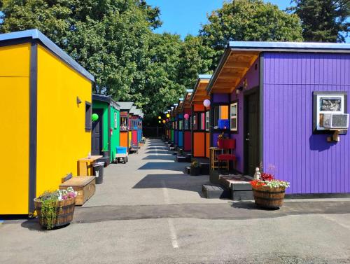 539168718 681784661616306 811257267930642788 n